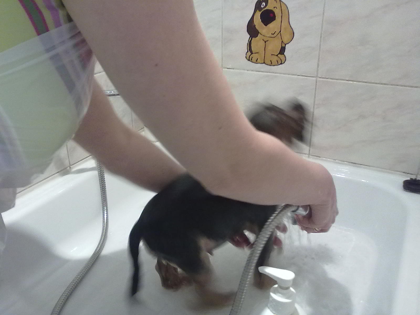 070320101113.jpg