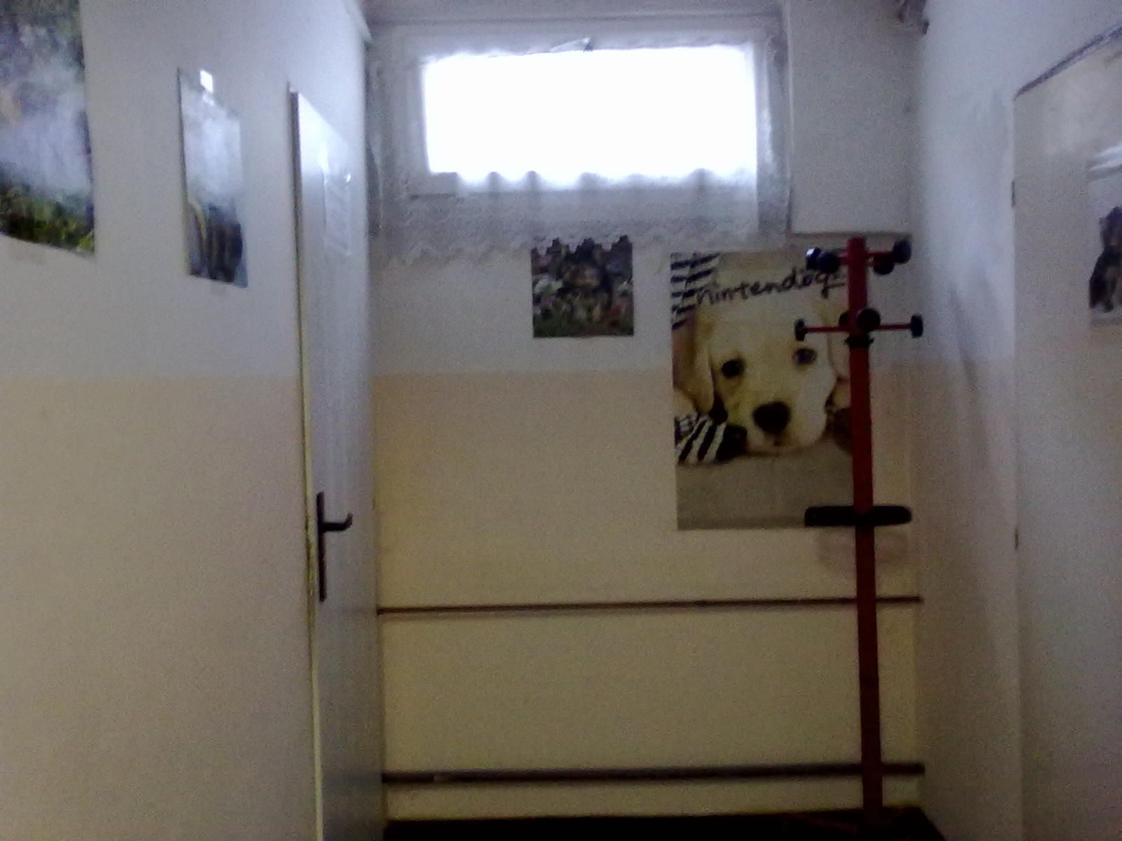 070320101109.jpg
