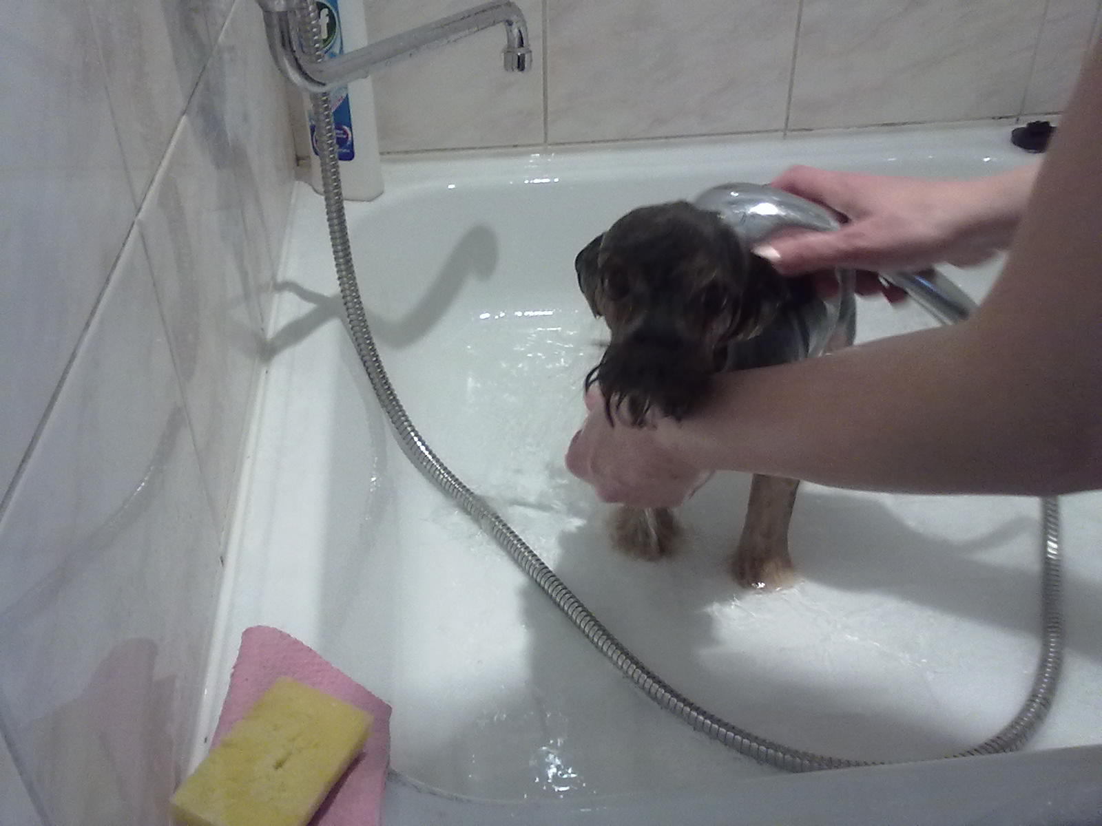 070320101115.jpg