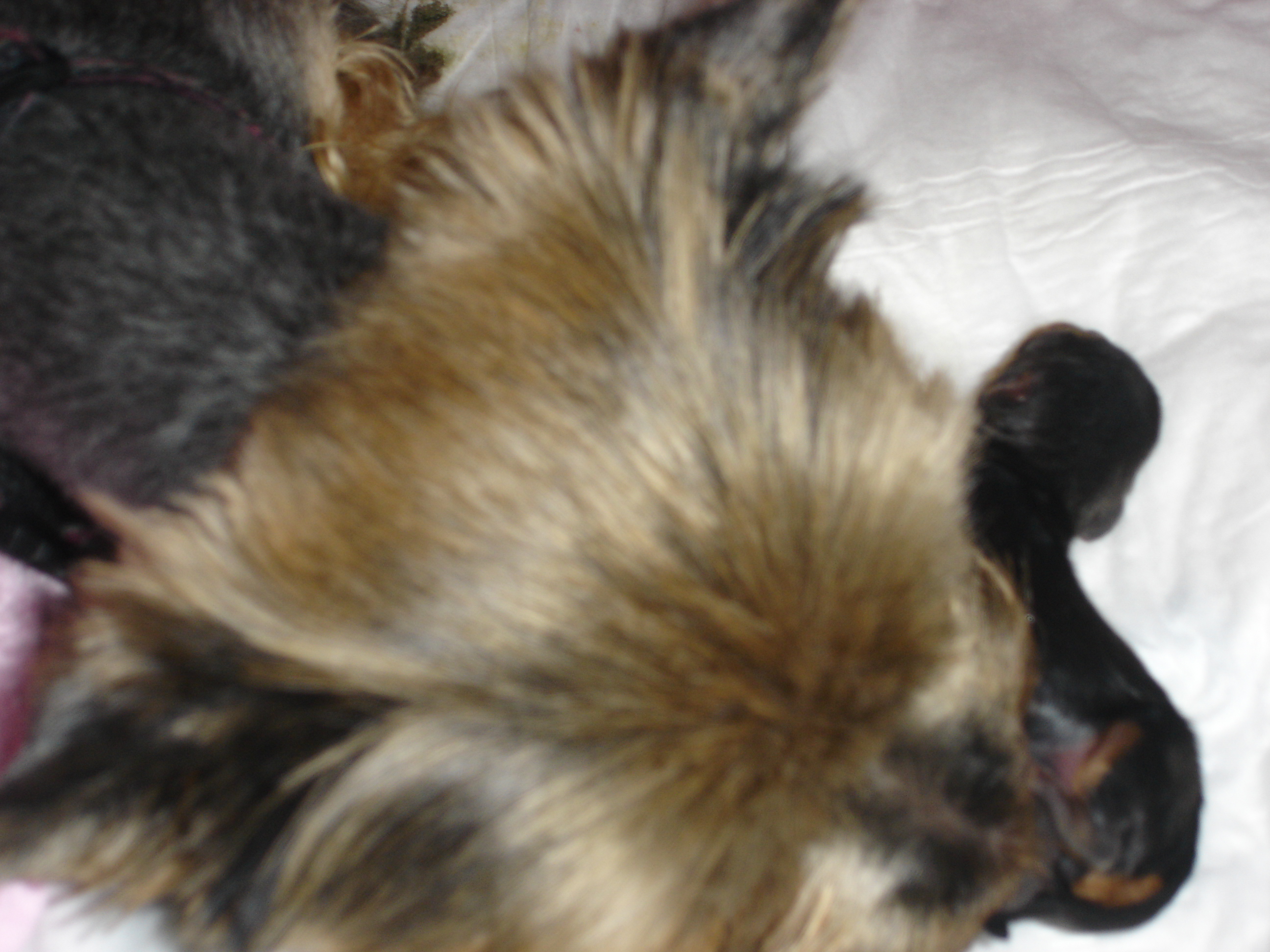 DSC01266.JPG
