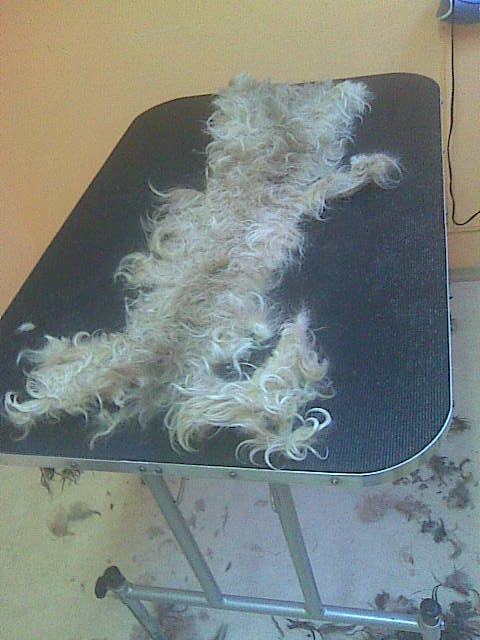 Obraz037.jpg