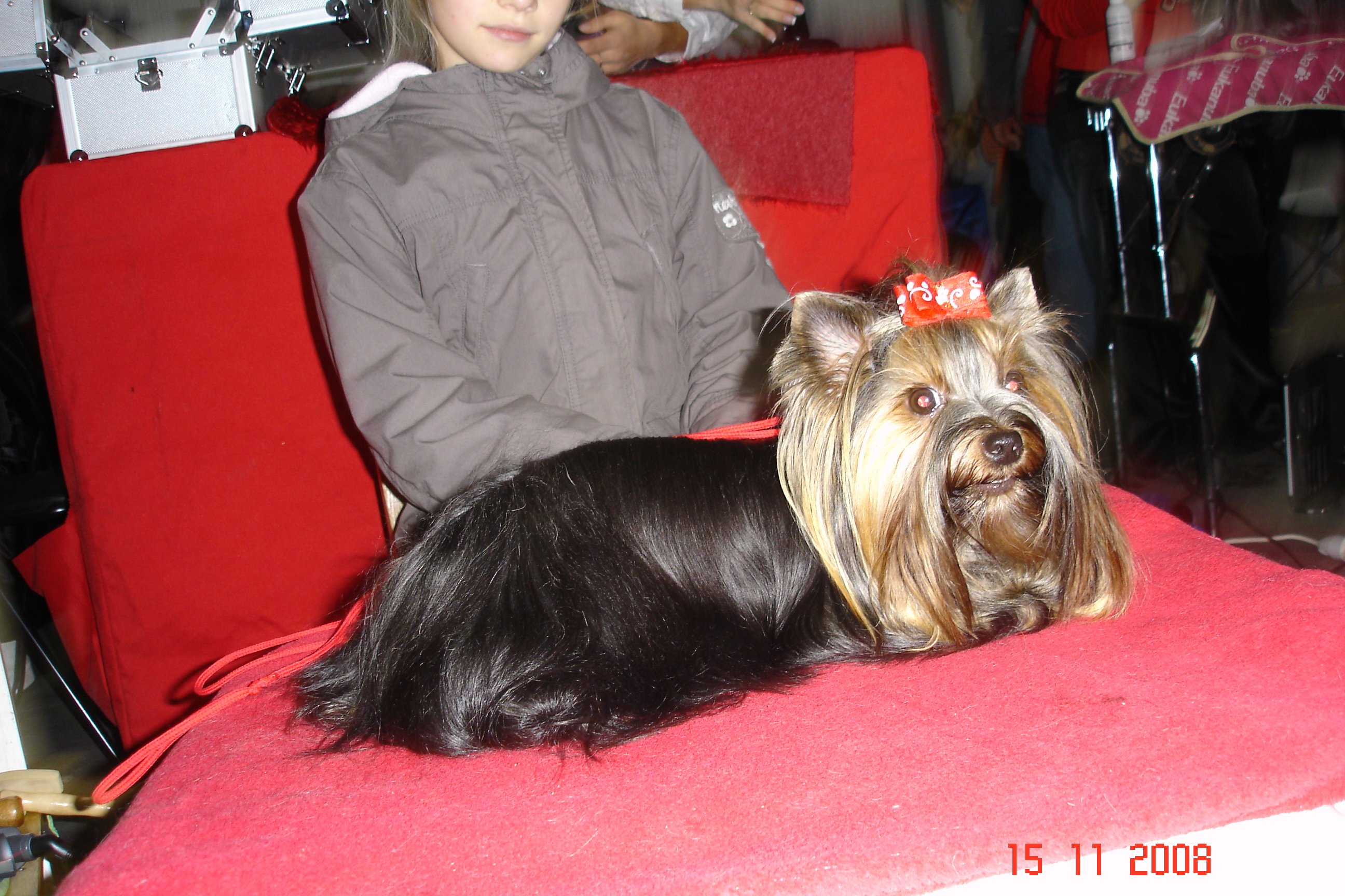 DSC01213.JPG