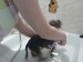 070320101113.jpg