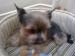 070320101125.jpg