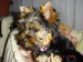 DSC00813.JPG