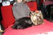 DSC01213.JPG