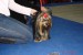 DSC01220.JPG
